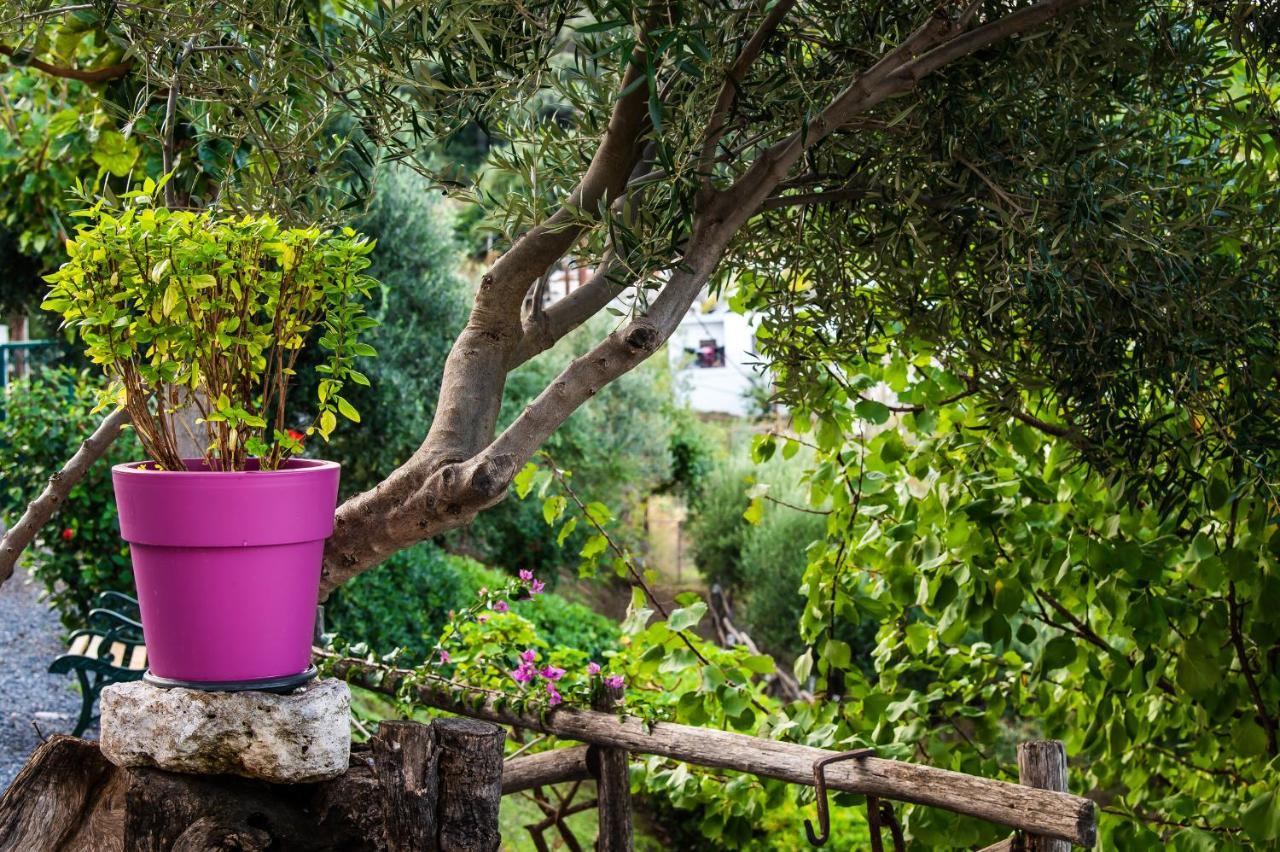 Chic & Spacious House In Rodia Heraklion Zewnętrze zdjęcie